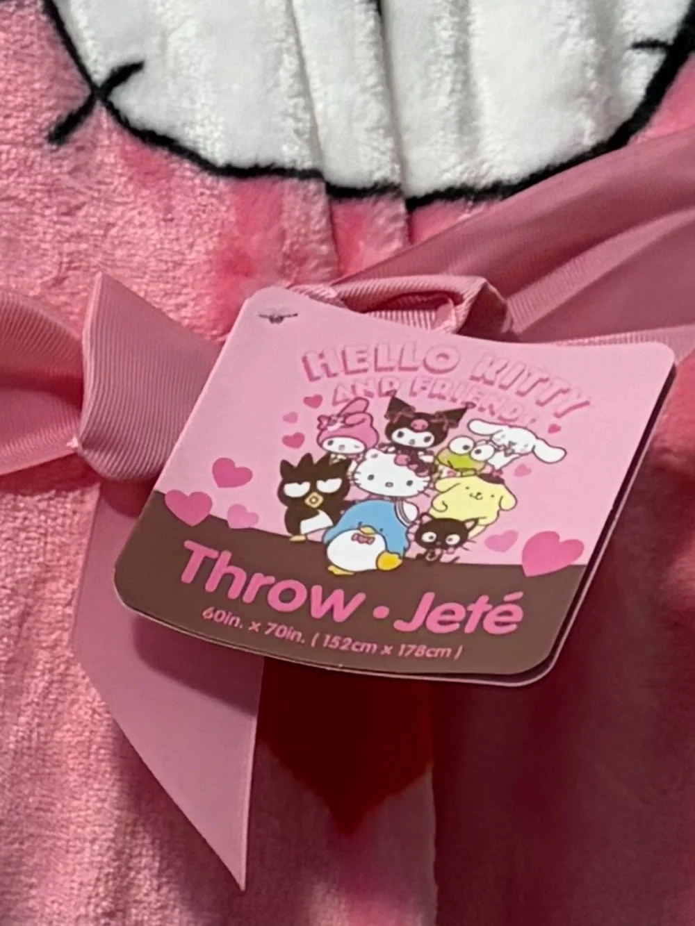 Hello Kitty Valentines Pink Hearts Plush Throw Blanket